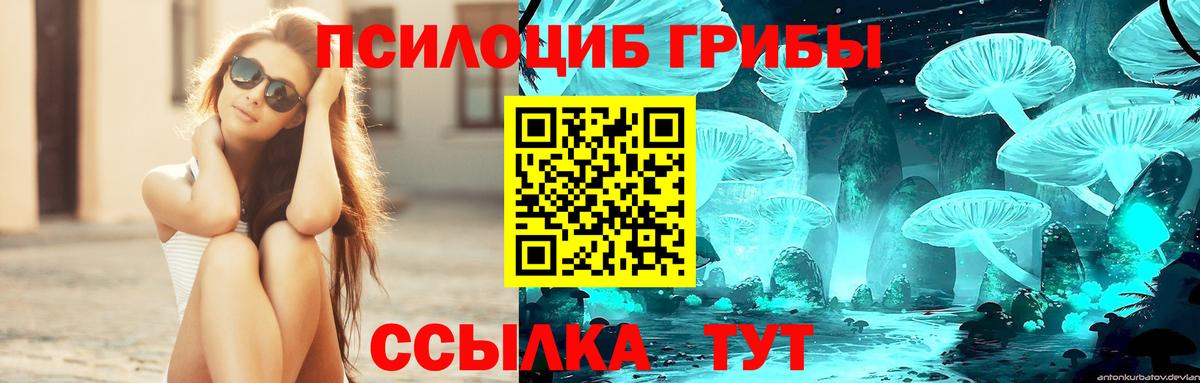 Псилоцибиновые грибы GOLDEN TEACHER Бийск